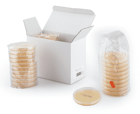 Kész táptalajok petricsészékben