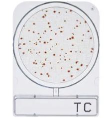 CompactDry™ TC (Total Count)