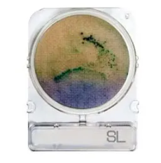 Compact Dry® SL (Salmonella)