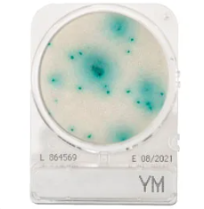 CompactDry™ YM for yeast and mould
