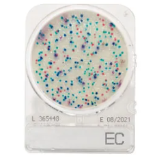 CompactDry™ EC (E. coli and coliforms)