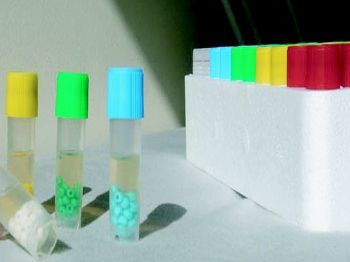 Cryoinstant kitt